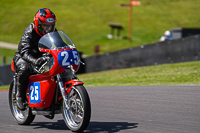 Vintage-motorcycle-club;eventdigitalimages;mallory-park;mallory-park-trackday-photographs;no-limits-trackdays;peter-wileman-photography;trackday-digital-images;trackday-photos;vmcc-festival-1000-bikes-photographs